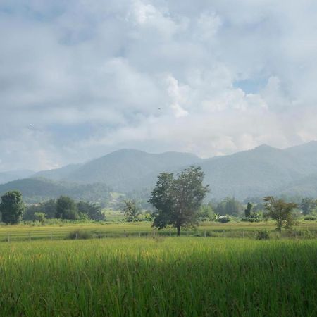 Camp View Mountain - Sell Experience By Paddy Fields Haven - Natures Nest Pai Buitenkant foto