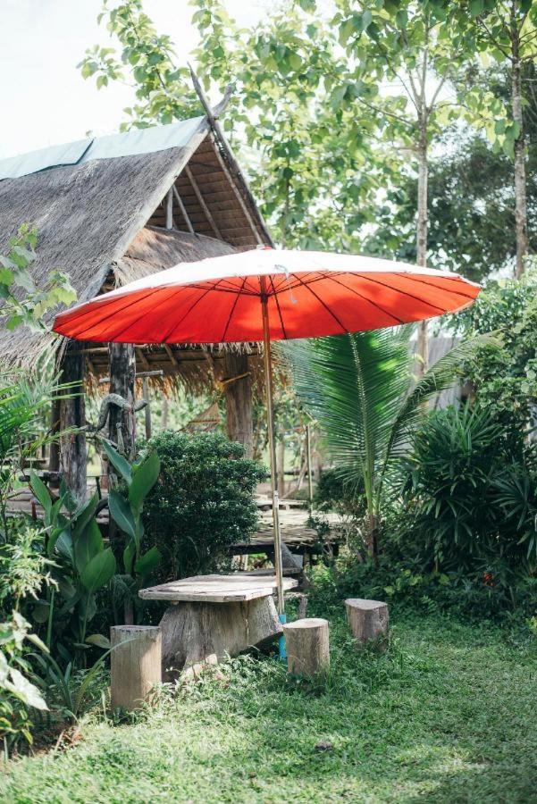 Camp View Mountain - Sell Experience By Paddy Fields Haven - Natures Nest Pai Buitenkant foto