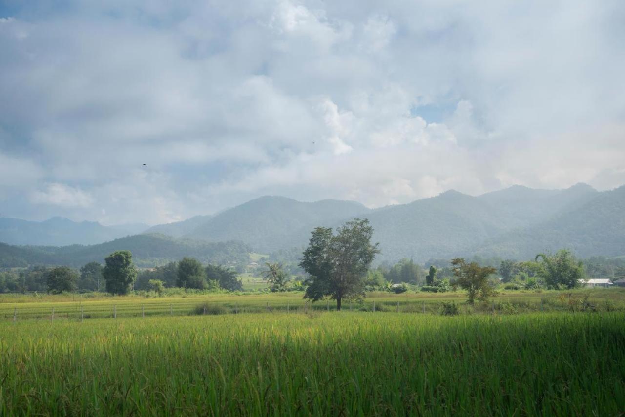 Camp View Mountain - Sell Experience By Paddy Fields Haven - Natures Nest Pai Buitenkant foto