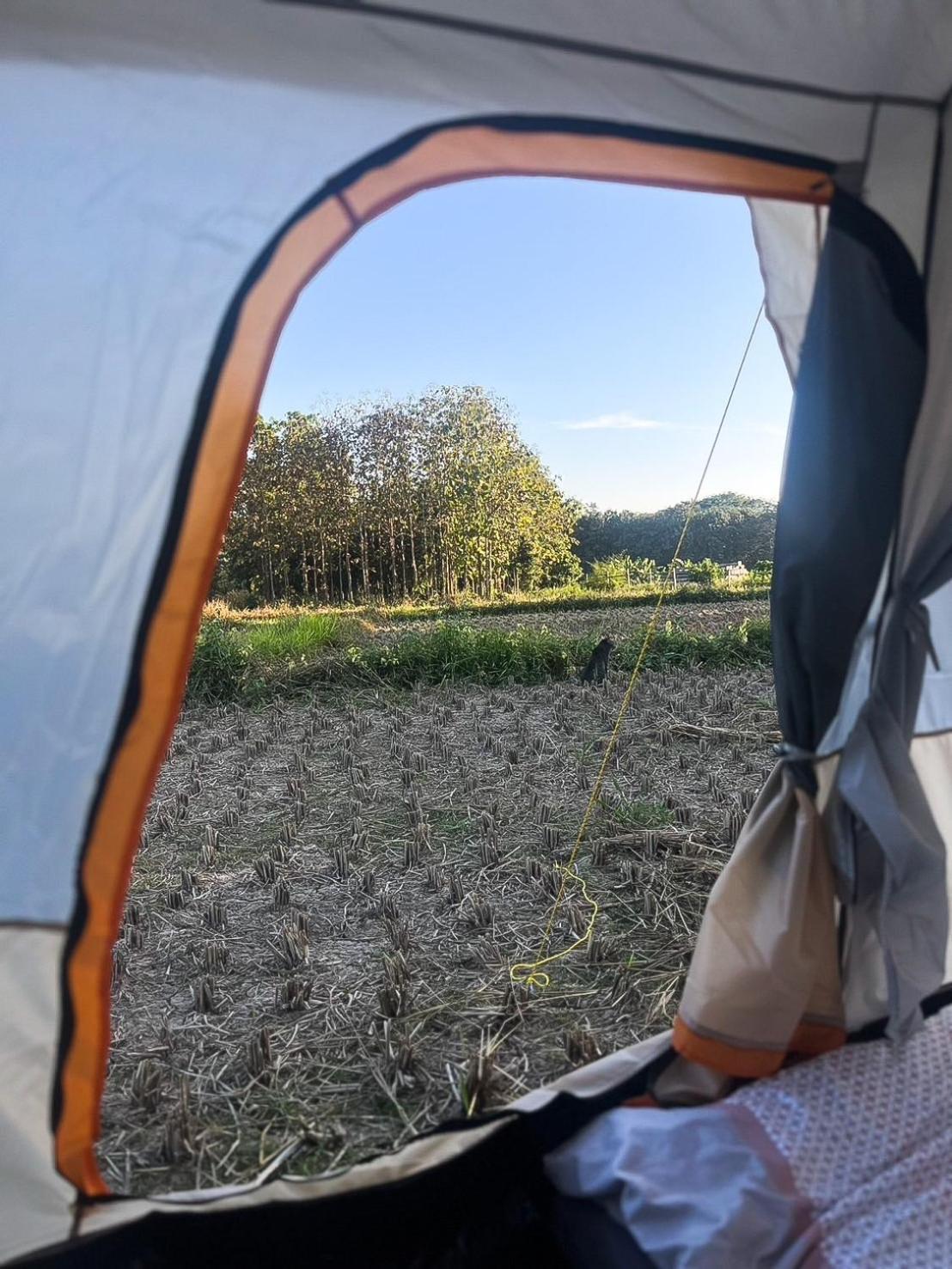 Camp View Mountain - Sell Experience By Paddy Fields Haven - Natures Nest Pai Buitenkant foto