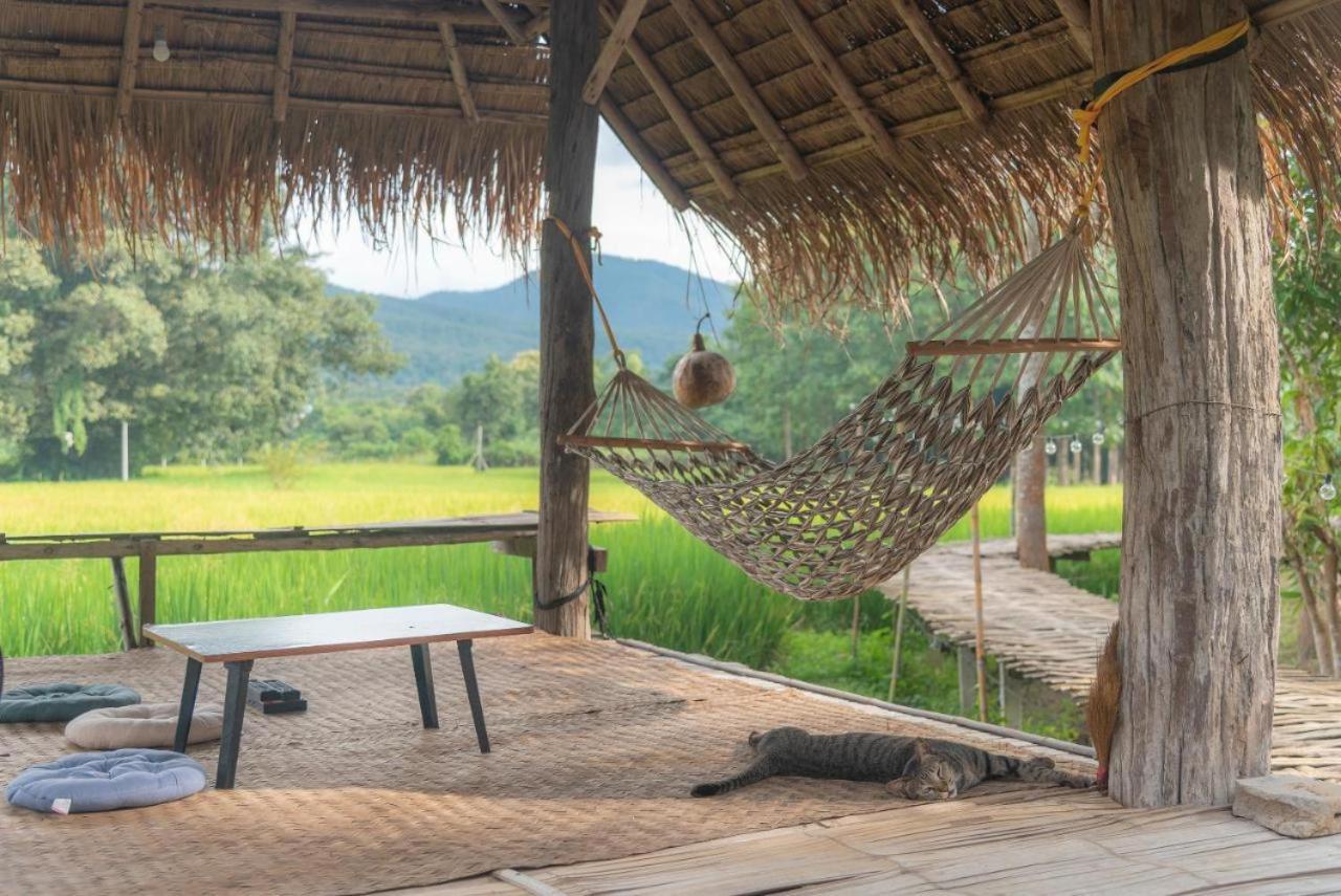 Camp View Mountain - Sell Experience By Paddy Fields Haven - Natures Nest Pai Buitenkant foto